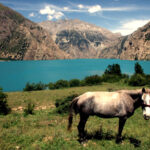 Lower Dolpo and Phoksundo Lake