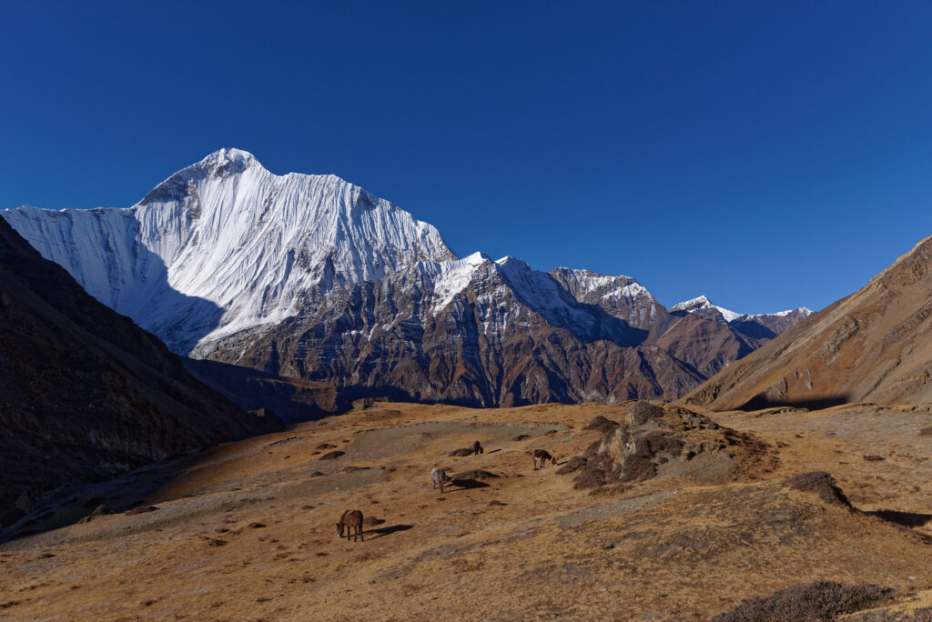 Upper Dolpo